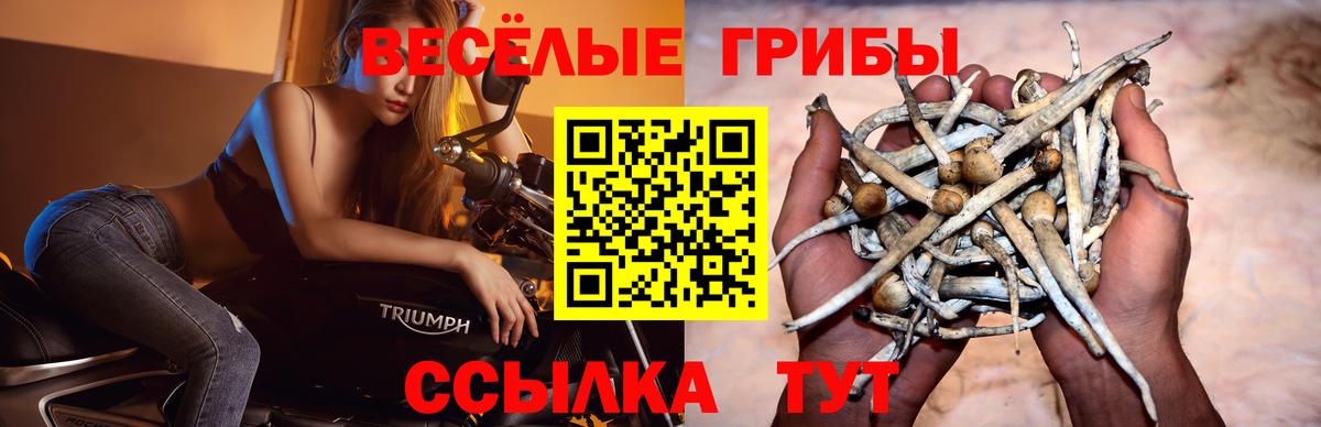 Ноябрьск  Псилоцибиновые грибы ЛСД  Вход с VPN 